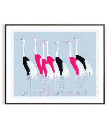 Bird 3 Animal Art Print prix