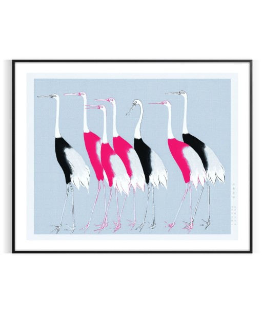 Bird 3 Animal Art Print prix