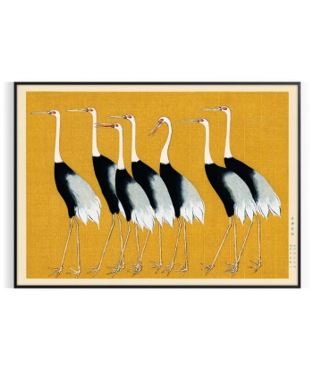 Bird Wildlife Print commande en ligne