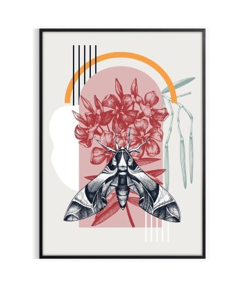 Butterfly Animal Wall Art les ligaments