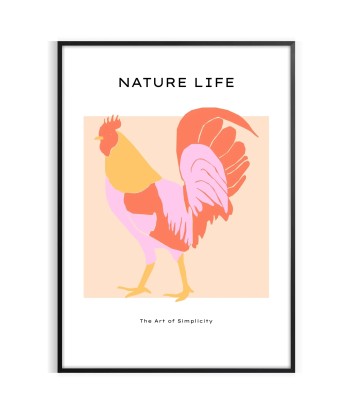 Chicken Animal Poster acheter