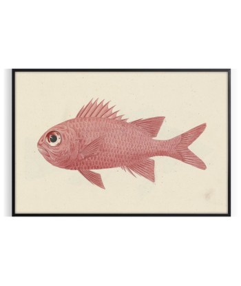 Fish Animal Wall Print les muscles