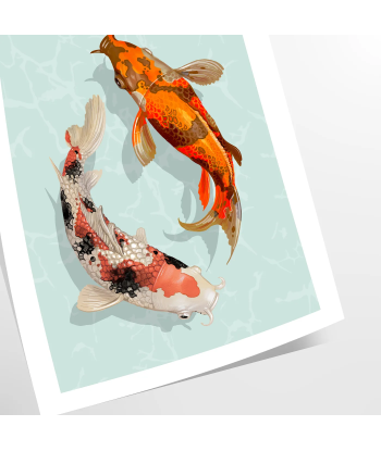 Fish Animal Poster livraison gratuite