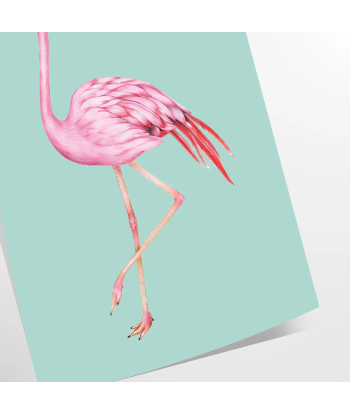 Flamingo Animal Art Print À commander