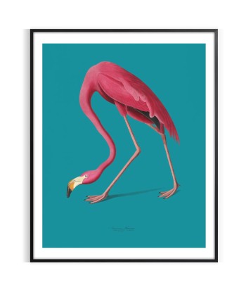 Flamingo Animal Art 50-70% off 