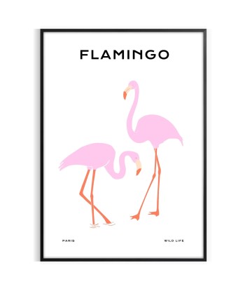 Flamingo Animal Poster france