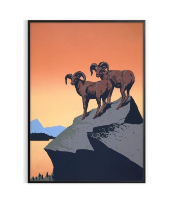 Ibex Animal Poster JUSQU'A -70%! 