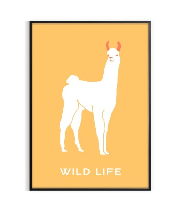 Llama Animal Poster pas chere