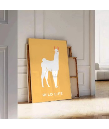 Llama Animal Poster pas chere