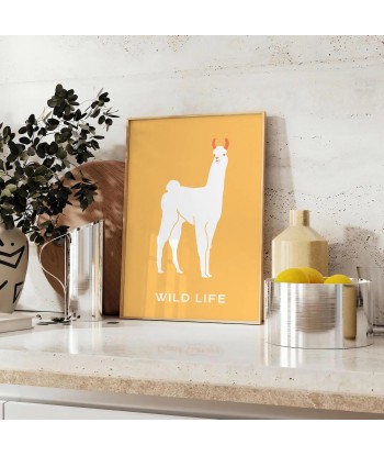 Llama Animal Poster pas chere