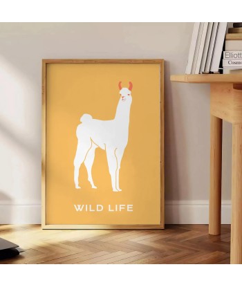 Llama Animal Poster pas chere