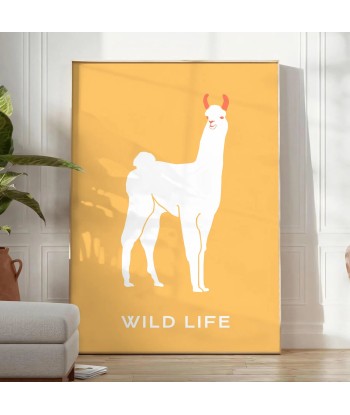 Llama Animal Poster pas chere