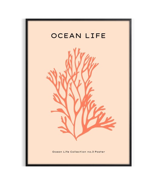 Ocean Animal Poster 2 à prix réduit toute l'année