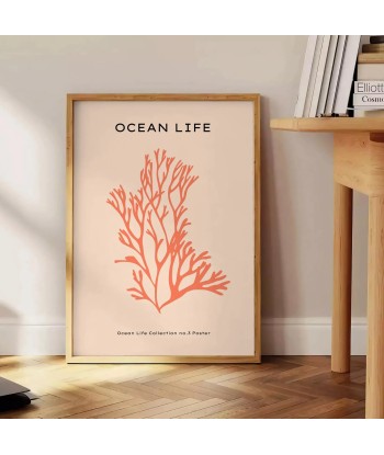 Ocean Animal Poster 2 à prix réduit toute l'année