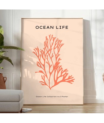 Ocean Animal Poster 2 à prix réduit toute l'année