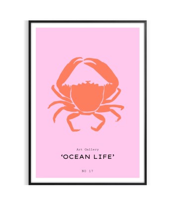 Ocean Animal Wall Print 1 2024