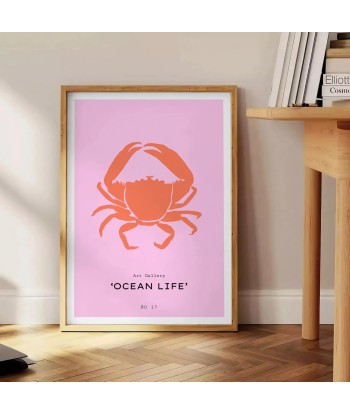 Ocean Animal Wall Print 1 2024