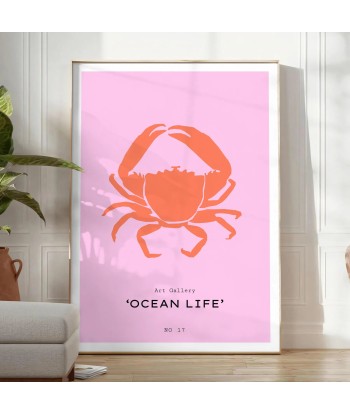 Ocean Animal Wall Print 1 2024