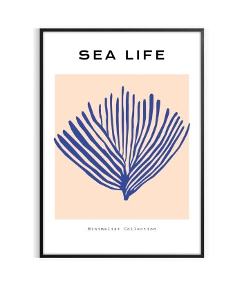 Ocean Wildlife Poster en ligne