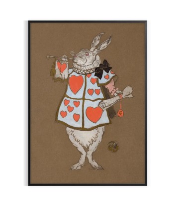 Rabbit Animal Poster acheter en ligne