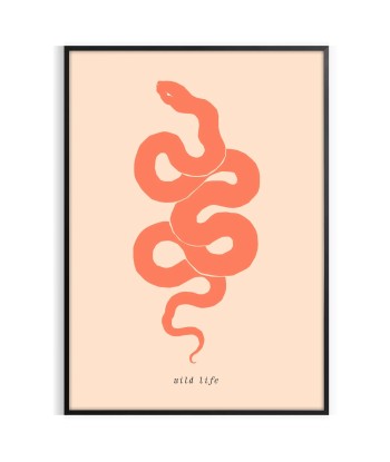 Snake Animal Poster ouvre sa boutique