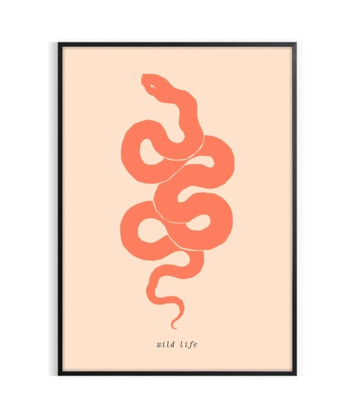 Snake Animal Poster ouvre sa boutique