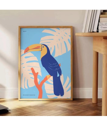 Toucan Animal Poster 2023