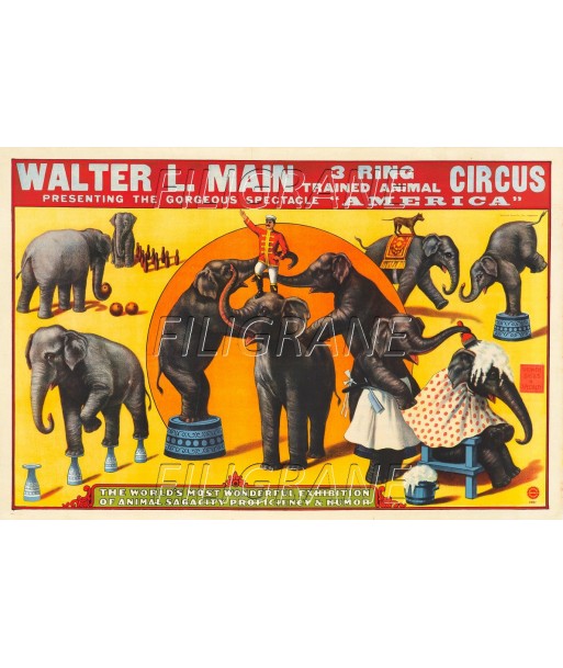 CIRQUE WALTER L. MAIN éLéPHANTS  Rrcl-POSTER/REPRODUCTION d1 AFFICHE VINTAGE Le MVP de beaucoup