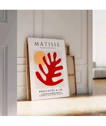 Matisse Popular Poster En savoir plus