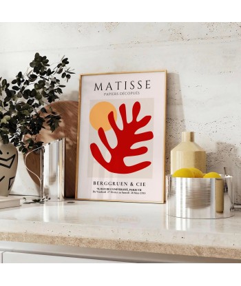 Matisse Popular Poster En savoir plus