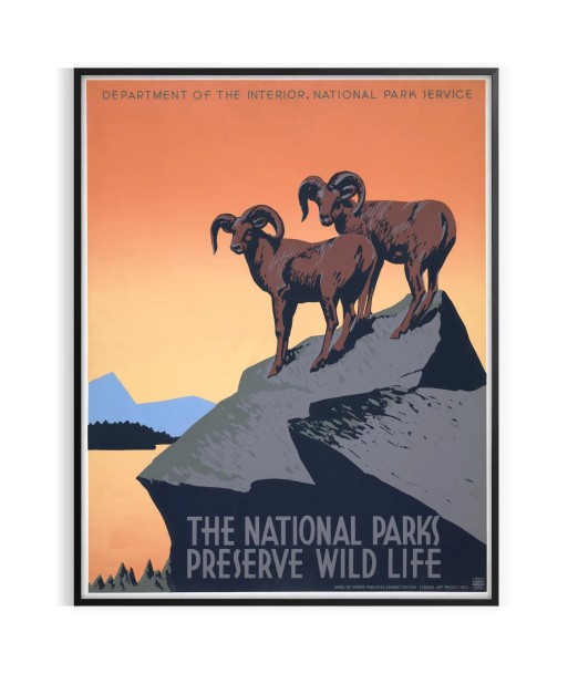 American National Park Travel Poster Print Toutes les collections ici