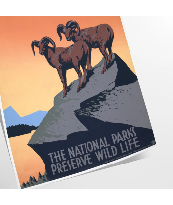 American National Park Travel Poster Print Toutes les collections ici