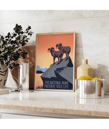 American National Park Travel Poster Print Toutes les collections ici