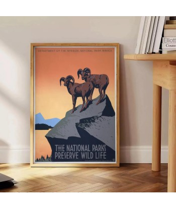 American National Park Travel Poster Print Toutes les collections ici