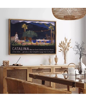 Catalina Travel Poster Art les ctes