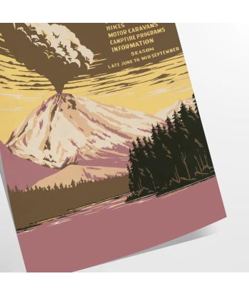 National Park Travel Poster Wall Print online