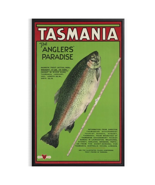 Tasmania Travel Poster Art Print pour bénéficier 