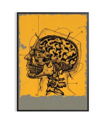 Human Head Vintage Art Print 2 est présent 