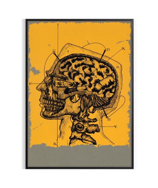 Human Head Vintage Art Print 2 est présent 