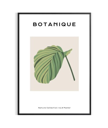 Botanical Art 8 prix