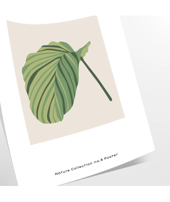 Botanical Art 8 prix