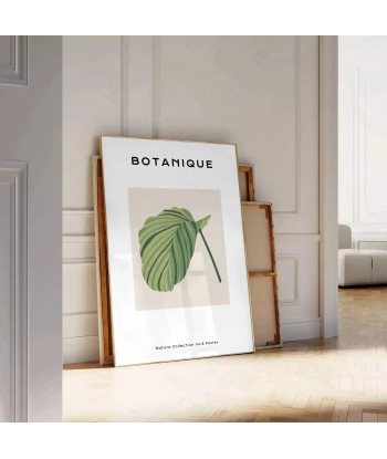 Botanical Art 8 prix