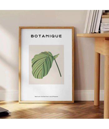 Botanical Art 8 prix