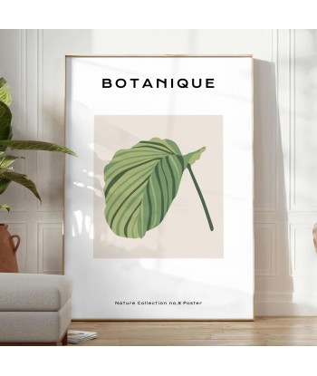 Botanical Art 8 prix