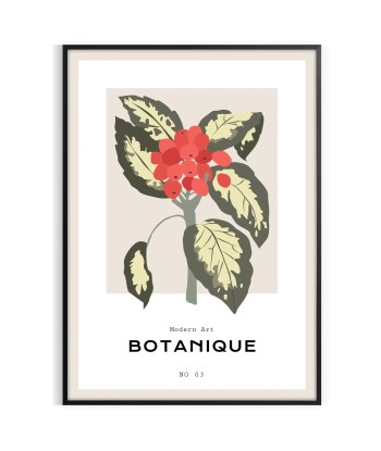 Botanical Art Print 19 2024