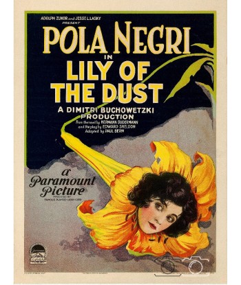 FILM LILY of the DUST Rixb-POSTER/REPRODUCTION d1 AFFICHE CINéMA en ligne des produits 