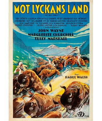 FILM MOT LYCKANS LAND Rmul-POSTER/REPRODUCTION d1 AFFICHE CINéMA soldes