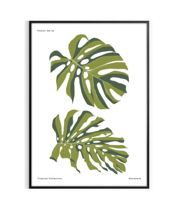 Botanical Wall Art 4 à prix réduit toute l'année