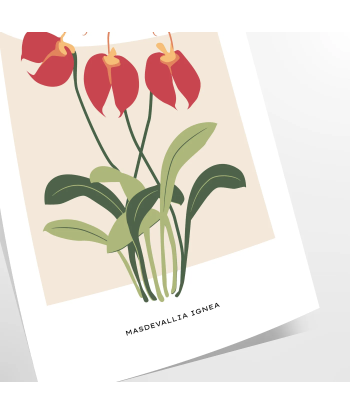 Botanical Wall Print 6 en ligne des produits 