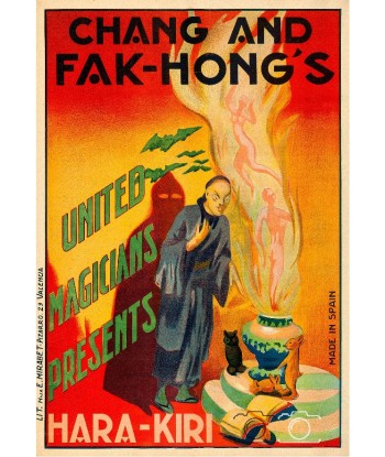 MAGIE CHANG AND FAK HONG'S Rvmg-POSTER/REPRODUCTION d1 AFFICHE VINTAGE JUSQU'A -70%! 